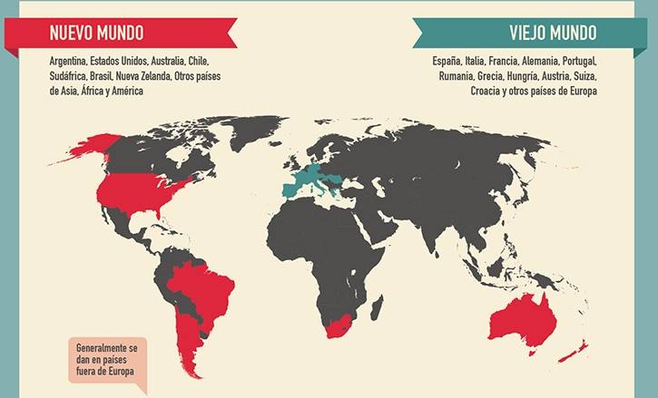 Vinos del Nuevo Mundo: El Sabor de la Modernidad