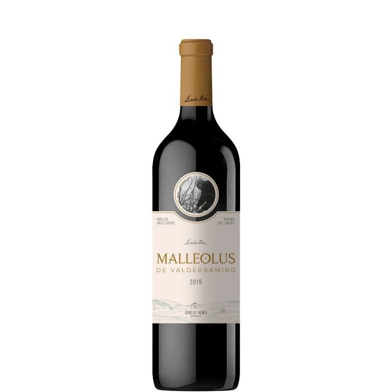MALLEOLUS DE VALDERRAMIRO