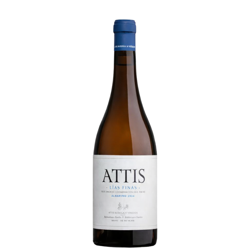 ATTIS Lias Finas 2024