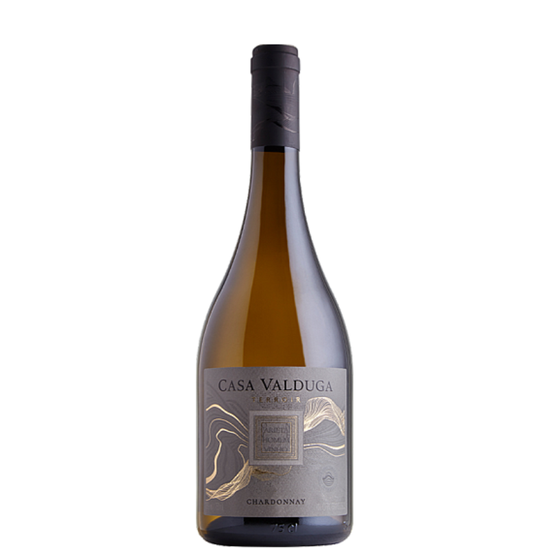 CASA VALDUGA Terroir Chardonnay 2023