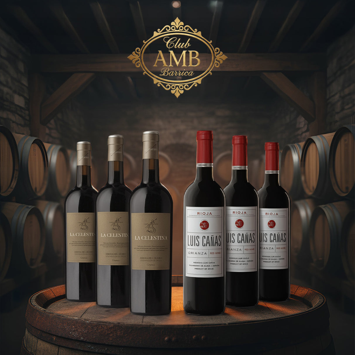 CLUB AMB BARRICA - FEBRUARY