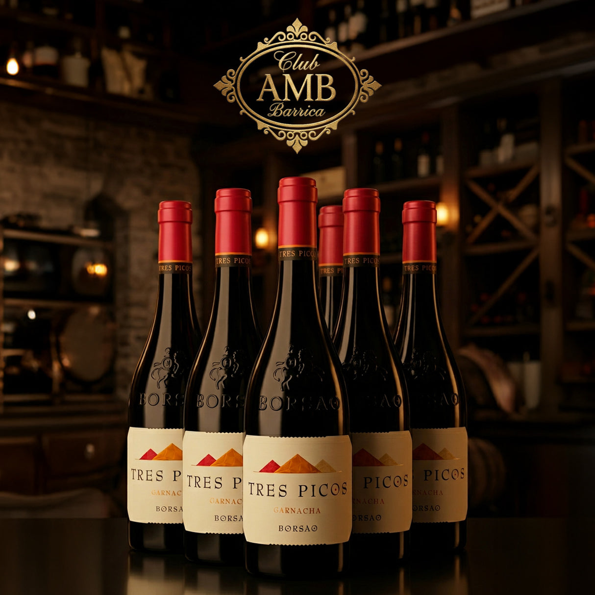 CLUB AMB BARRICA - FEBRUARY