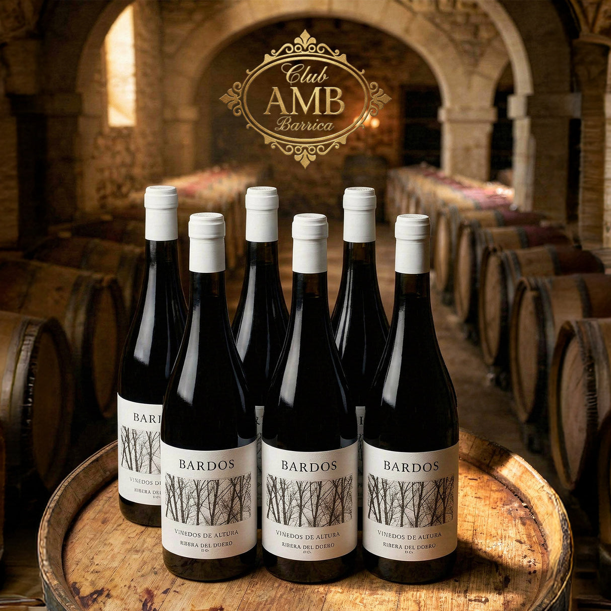 CLUB AMB BARRICA - ABRIL