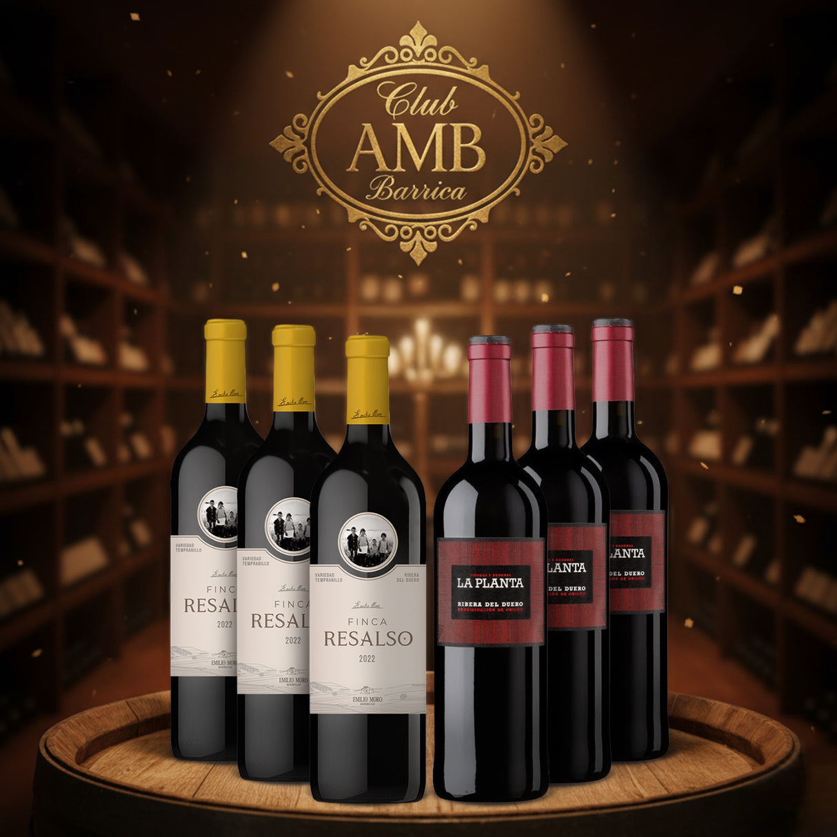 CLUB AMB BARRICA - NOVIEMBRE