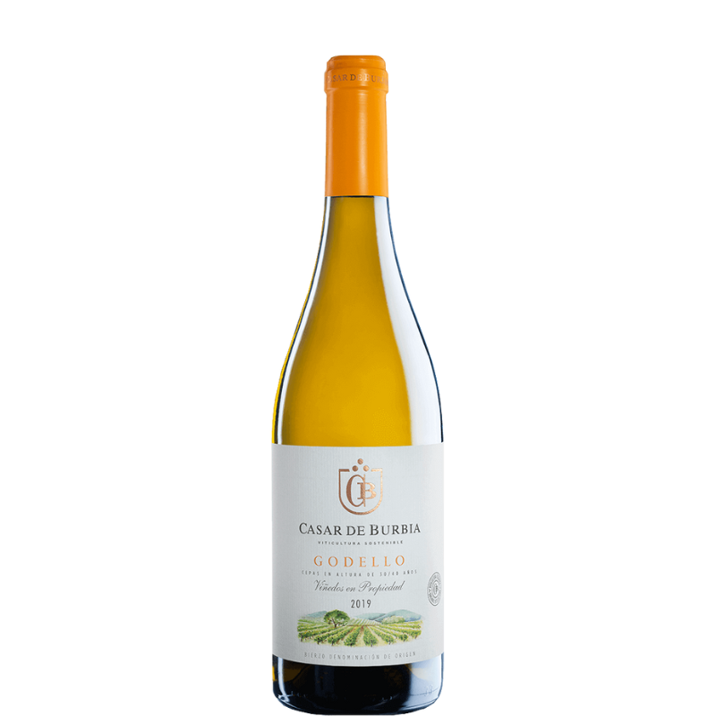 CASAR DE BURBIA Godello 2023