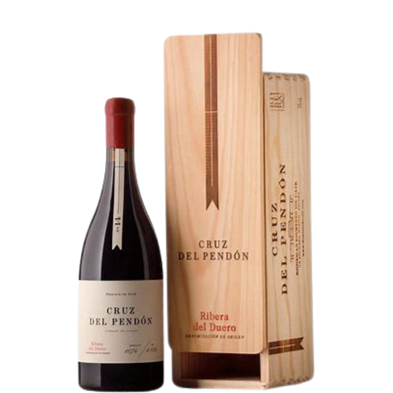 CAIR CRUZ DEL PENDON 2020