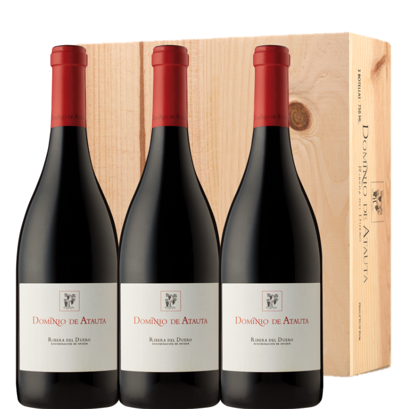 DOMINIO DE ATAUTA 2021