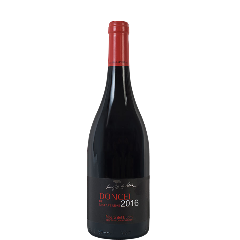 MAID OF MATAPERRAS 2016