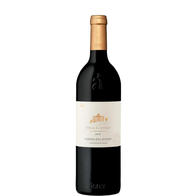 ASTER FINCA EL OTERO 2021