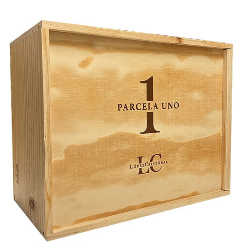 LOPEZ CRISTOBAL PARCELA UNO 2021