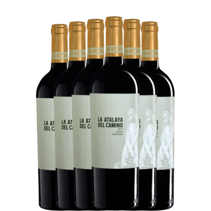 LA ATALAYA DEL CAMINO 2023