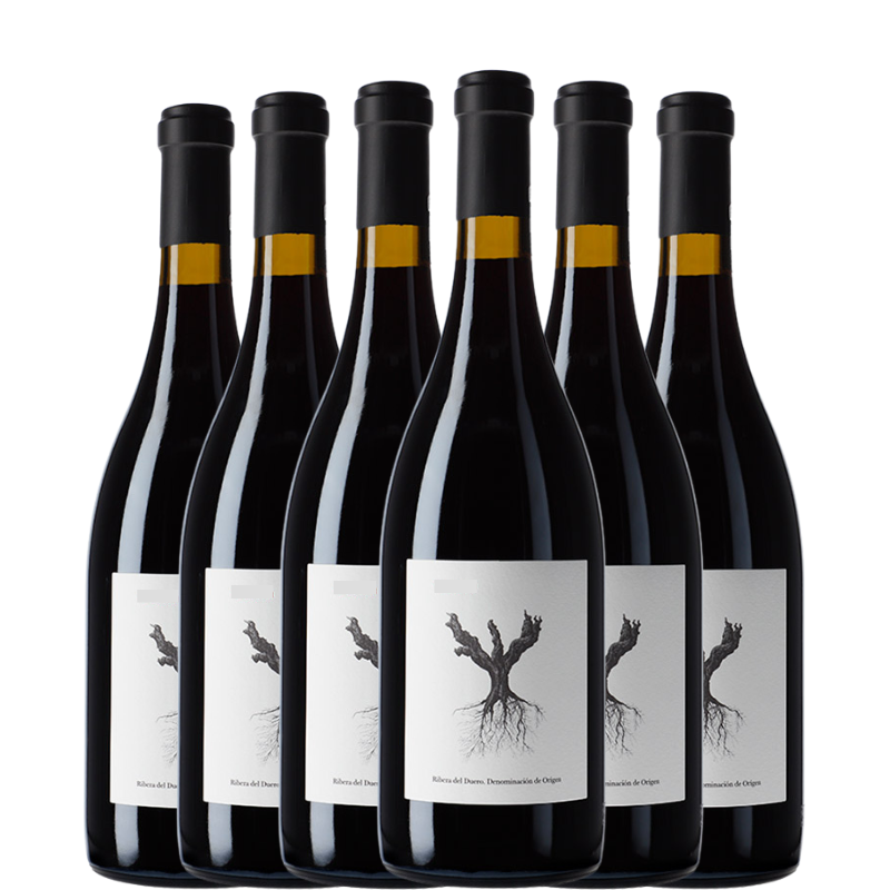 Seis botellas de PSI 2023