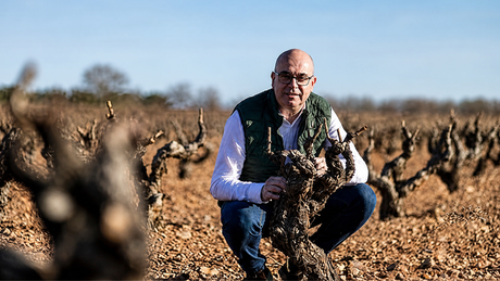 Xavier Ausás: el legado de Vega Sicilia y su nueva interpretación de Ribera del Duero