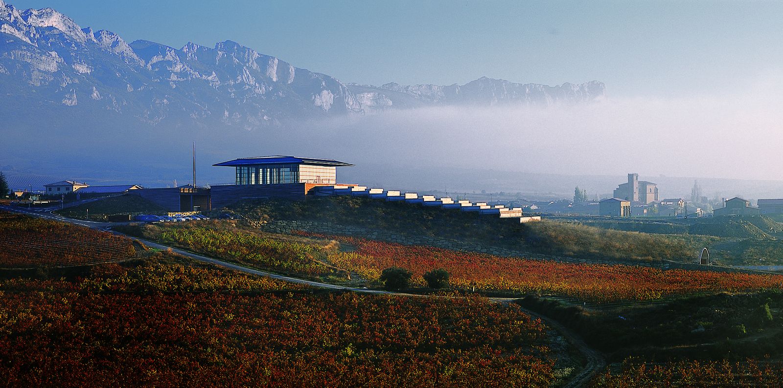 Bodega Baigorri: Arquitectura, Innovación y Vinos de Autor en La Rioja