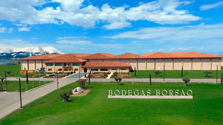 Bodegas Borsao