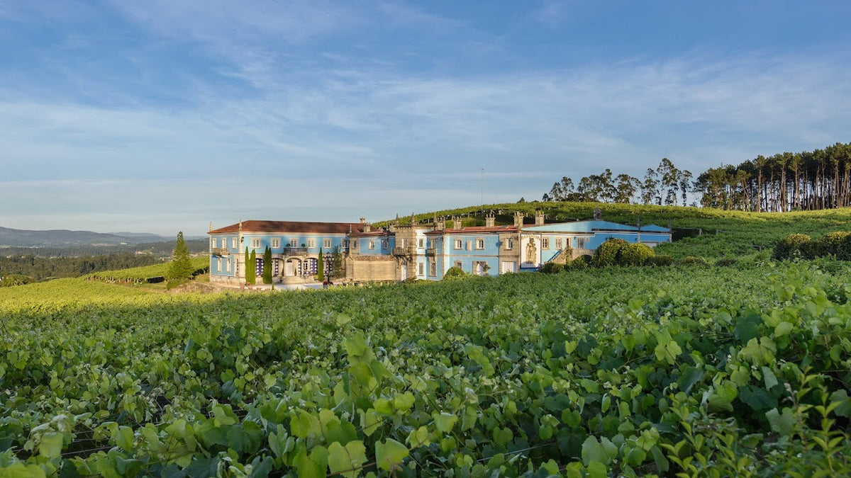Bodegas Granbazán
