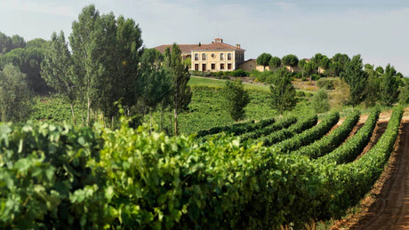 Bodega Rioja Alta, S.A.