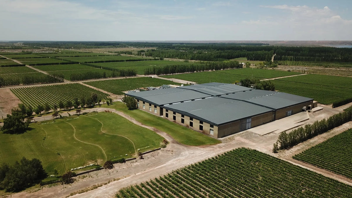 Wineries at the End of the World