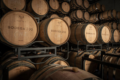 Bodega 202