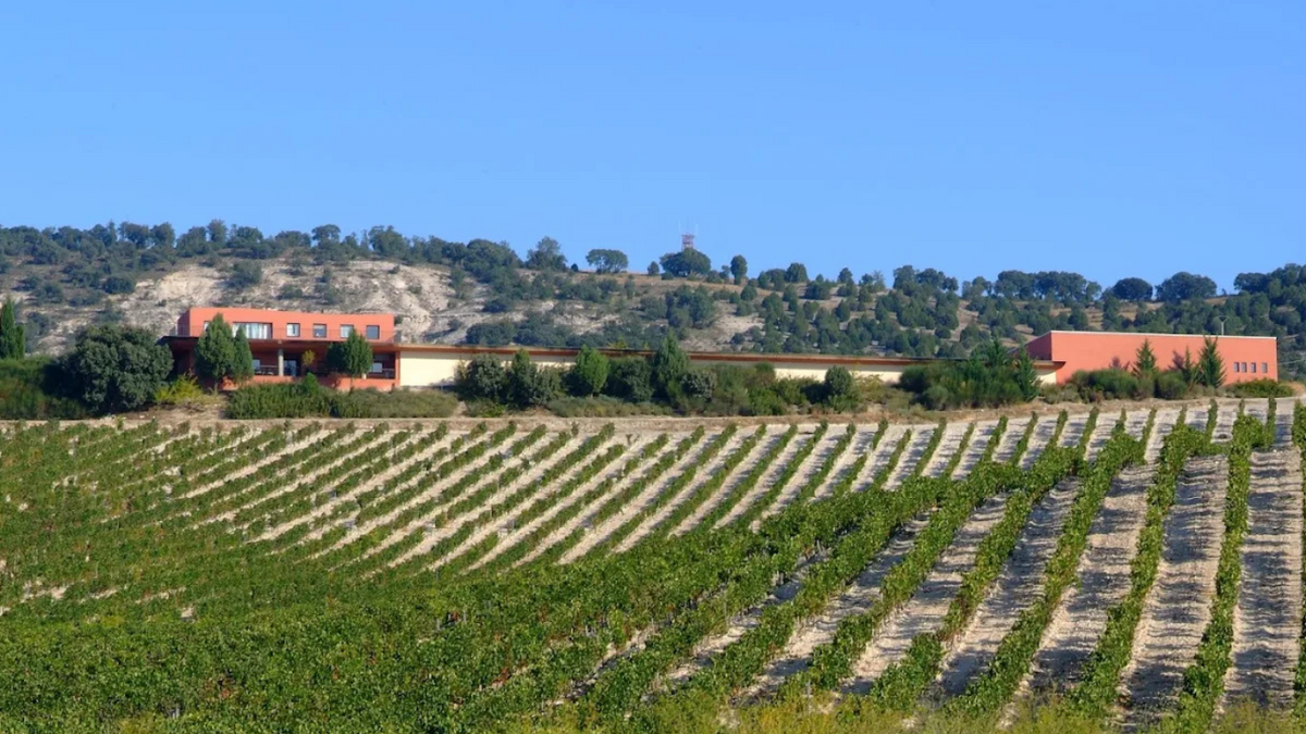 Bodega Hacienda Monasterio