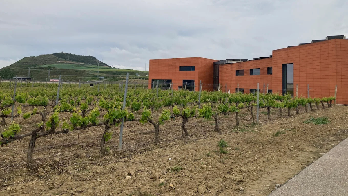 Bodegas Martínez Lacuesta