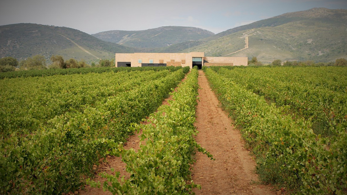 Pago de Vallegarcia Winery