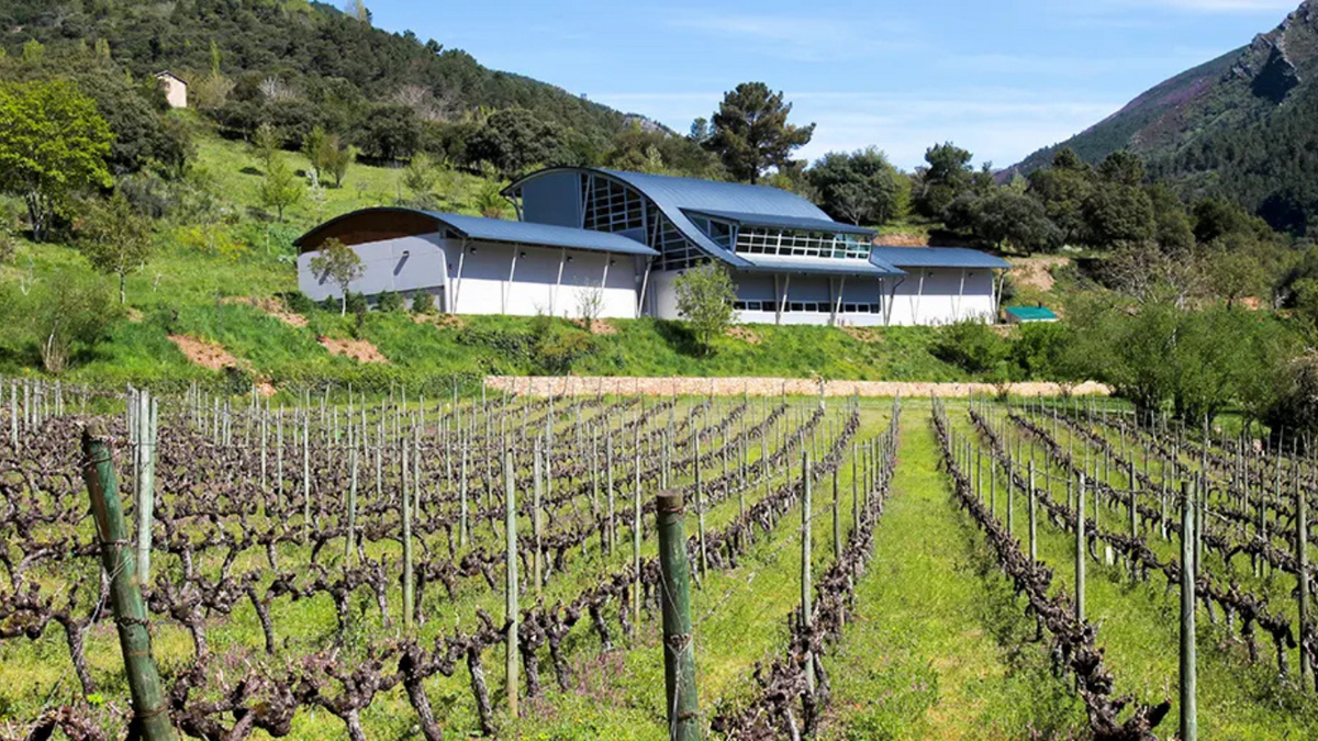 Bodegas Godeval
