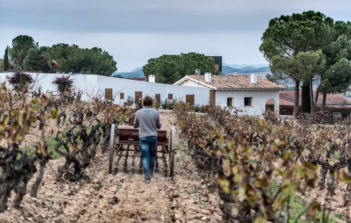 Bodega Raventos i Blanc