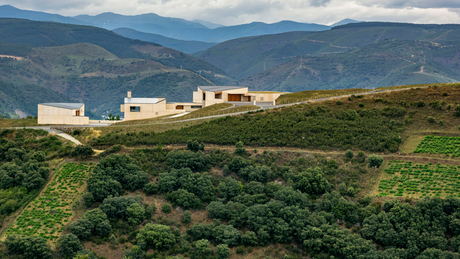 Bodegas Descendientes de J. Palacios