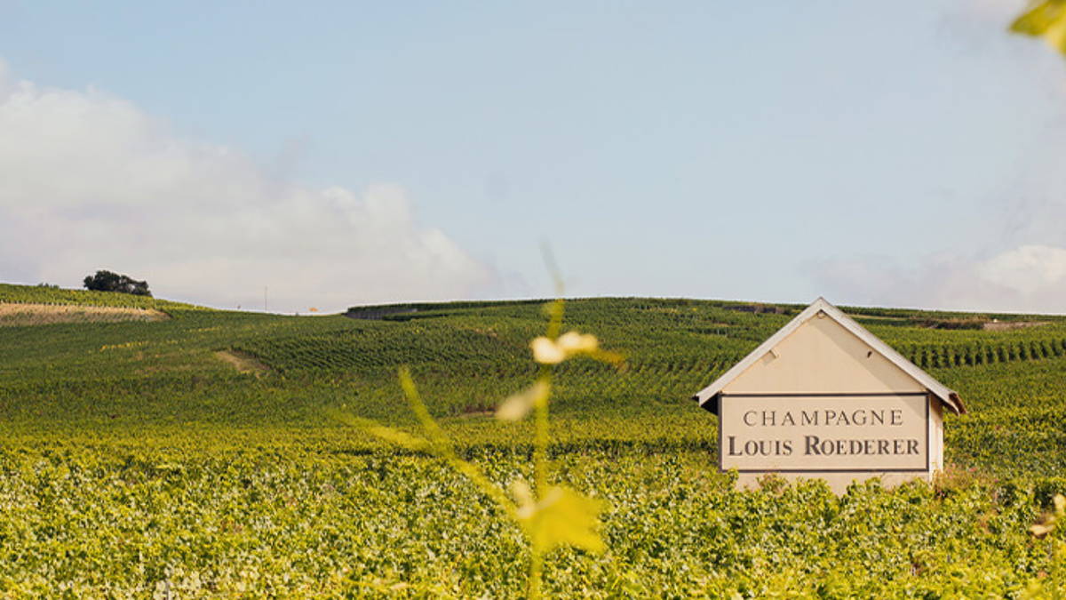 Louis Roederer Maison