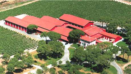 Bodega Finca Villacreces