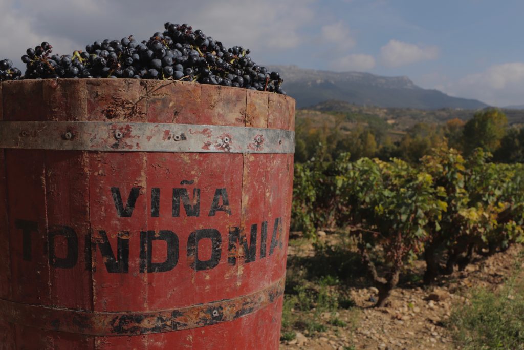 R. López de Heredia Winery - Viña Tondonia