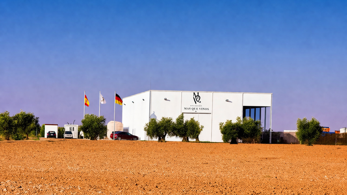 Bodegas Más Que Vinos