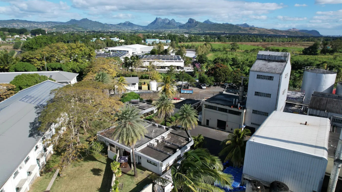 New Grove Distillery