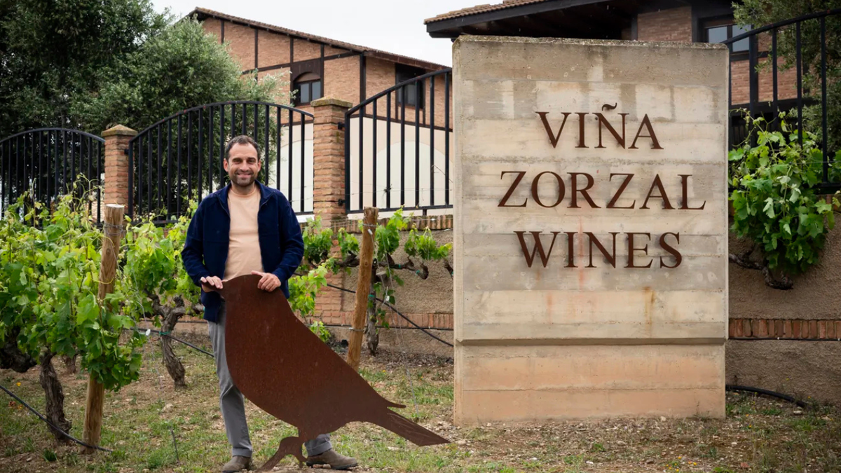 Viña Zorzal Wines