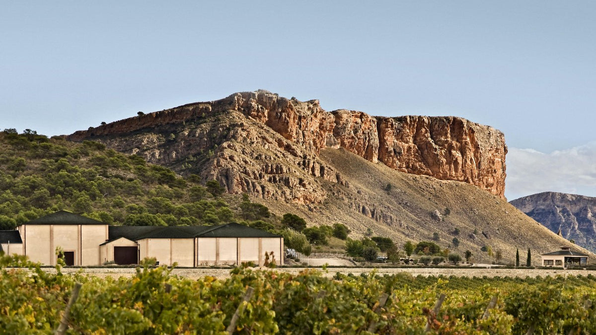 Juan Gil Winery