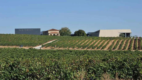 Bodega Pago de los Capellanes