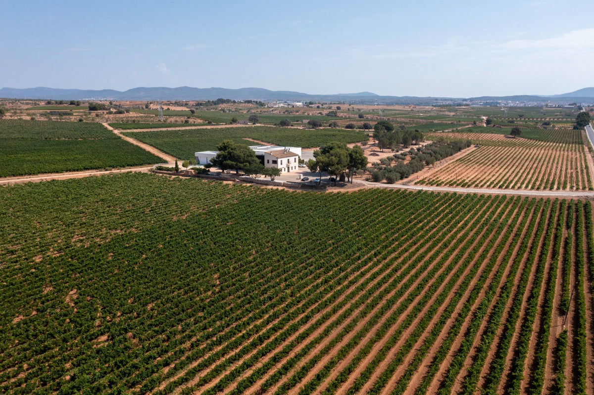 Hispano-Swiss Wineries