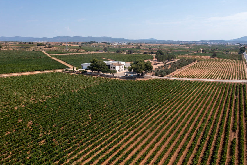 Sipsmith Independent Spirits