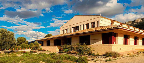 Bodega Casa de la Ermita