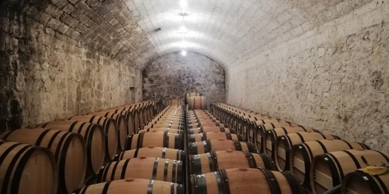 Dominio de Pingus Winery