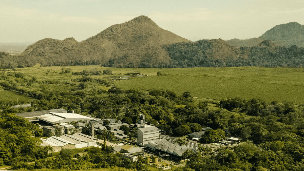 Destilería Diplomático