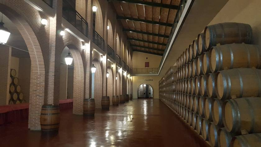 Bodegas Yllera
