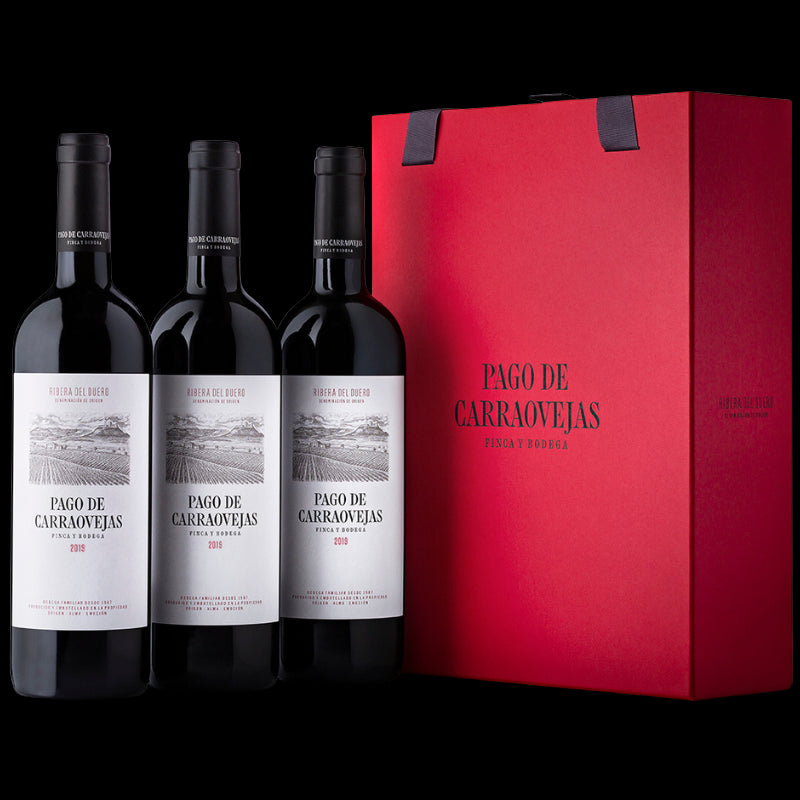 PAGO DE CARRAOVEJAS 2020 Case of 3 bottles