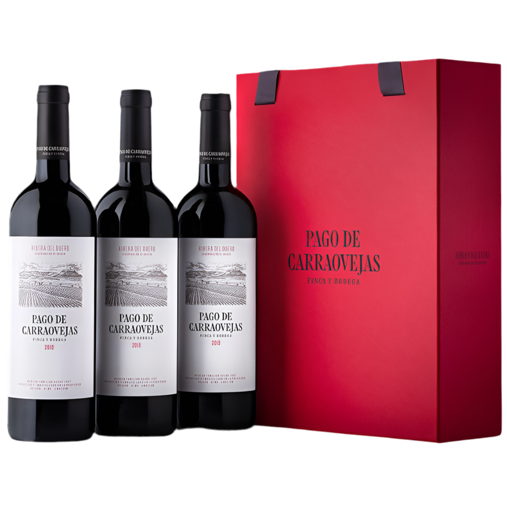 PAGO DE CARRAOVEJAS 2020 Case of 3 bottles