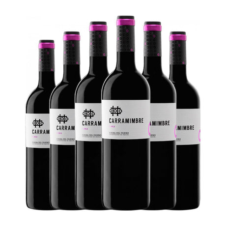 CARRAMIMBRE Roble 2024