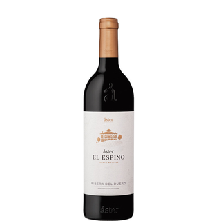 ASTER THE THORN 2021