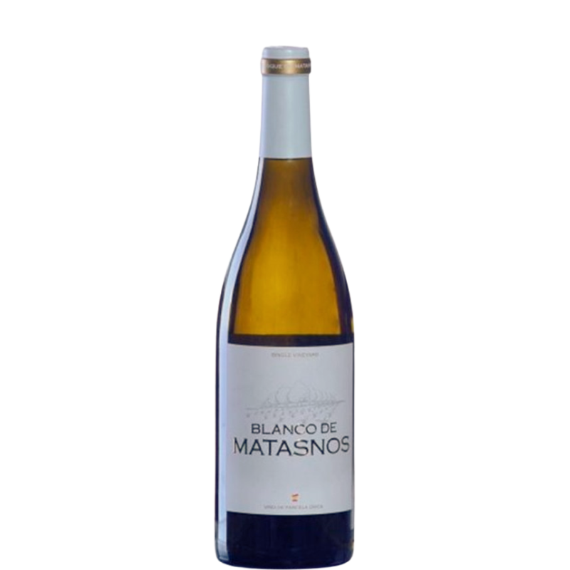 BLANCO DE MATASNOS 2024