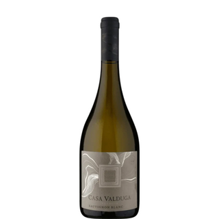 CASA VALDUGA Terroir Savignon Blanc 2022