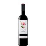 CAMINS DEL PRIORAT 2024